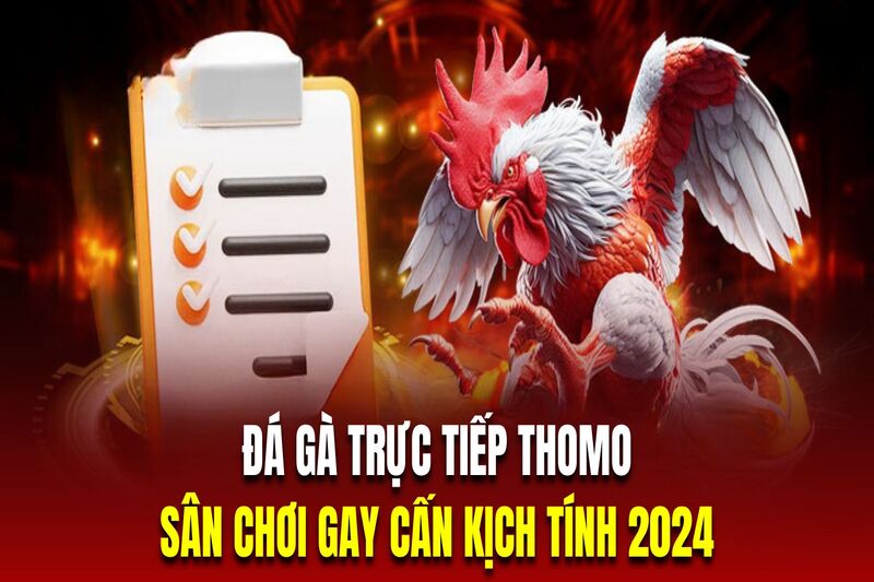 đá gà trực tiếp thomo j88