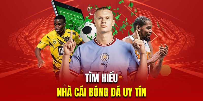 Tìm hiểu về thuật ngữ nhà cái cung cấp dịch vụ cá cược bóng đá uy tín